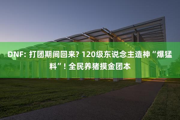 DNF: 打团期间回来? 120级东说念主造神“爆猛料”! 全民养猪摸金团本