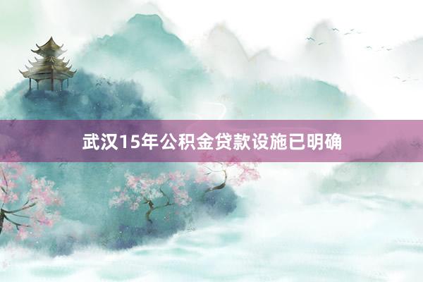 武汉15年公积金贷款设施已明确