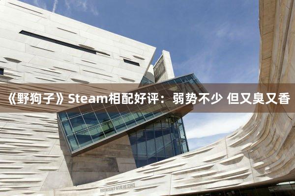 《野狗子》Steam相配好评：弱势不少 但又臭又香